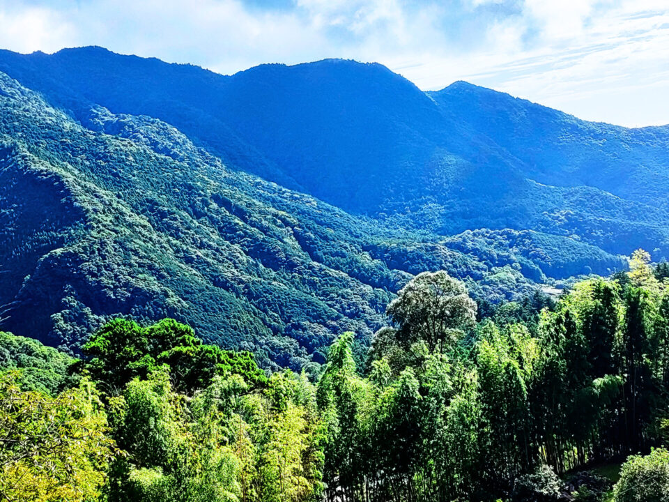 那智原始林