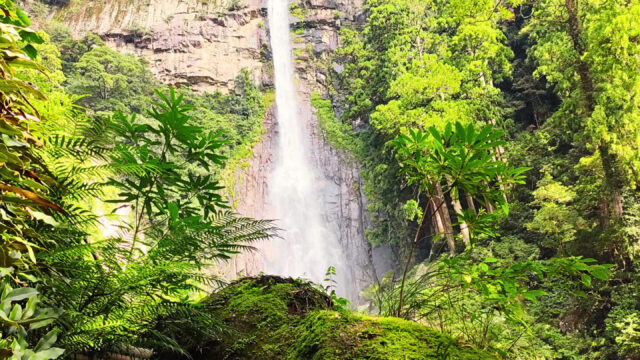 飛瀧神社の那智の滝