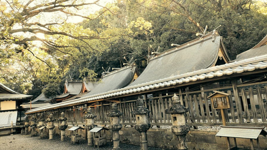 紀伊山地の霊場と参詣道の玄関こと闘鶏神社の社群